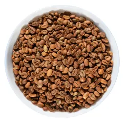 بن عربي خولاني